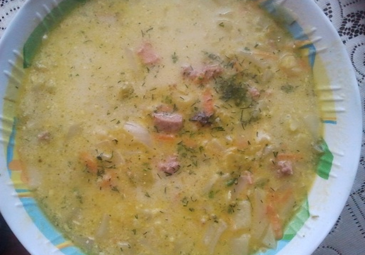 zupa z brukselki i kapusty foto