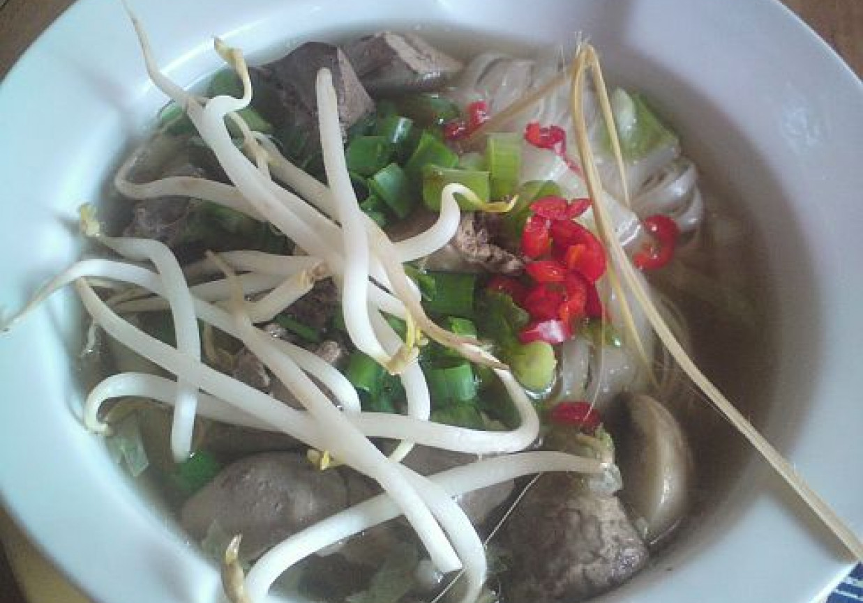 Zupa z chińskim przytupem (z makaronem ryżowym, warzywami i wątróbką) foto