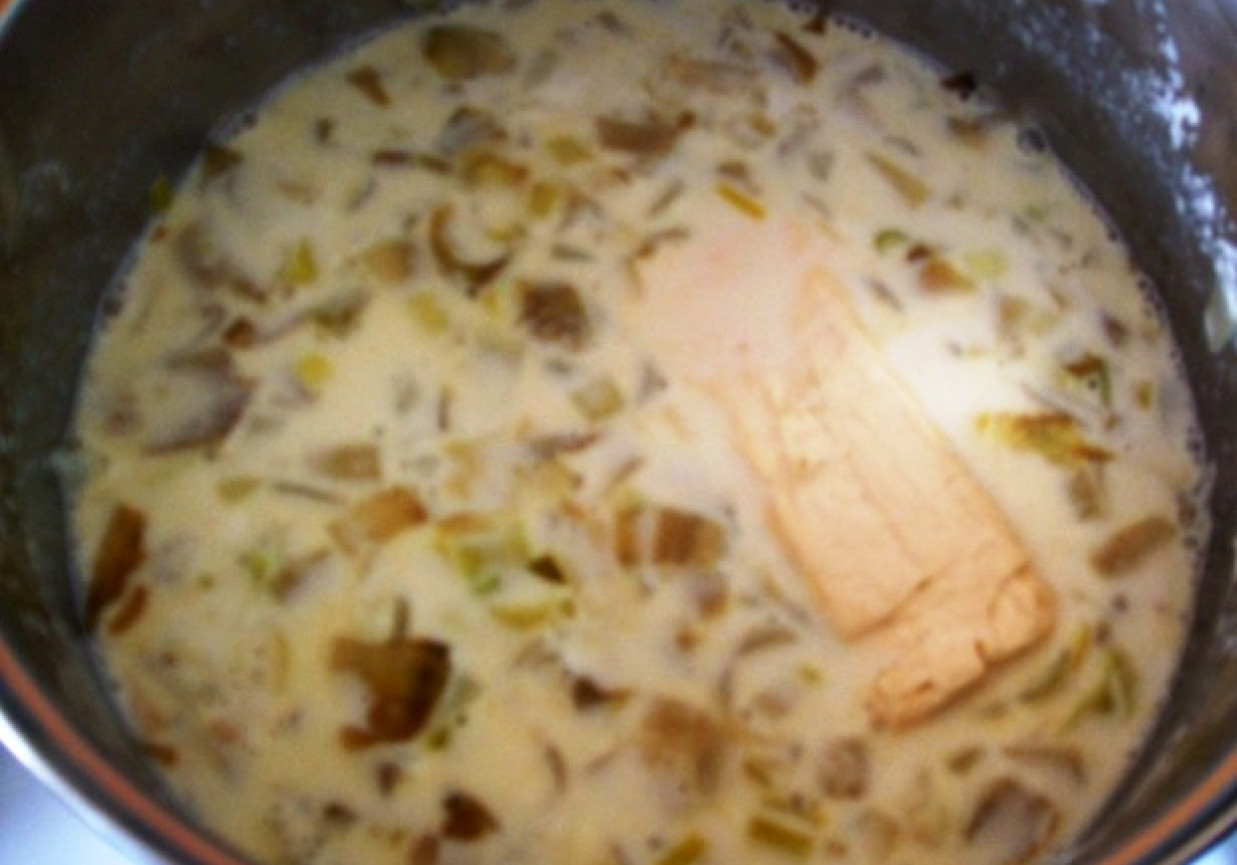 Zupa z cykorią, porem i drobnym makaronem foto