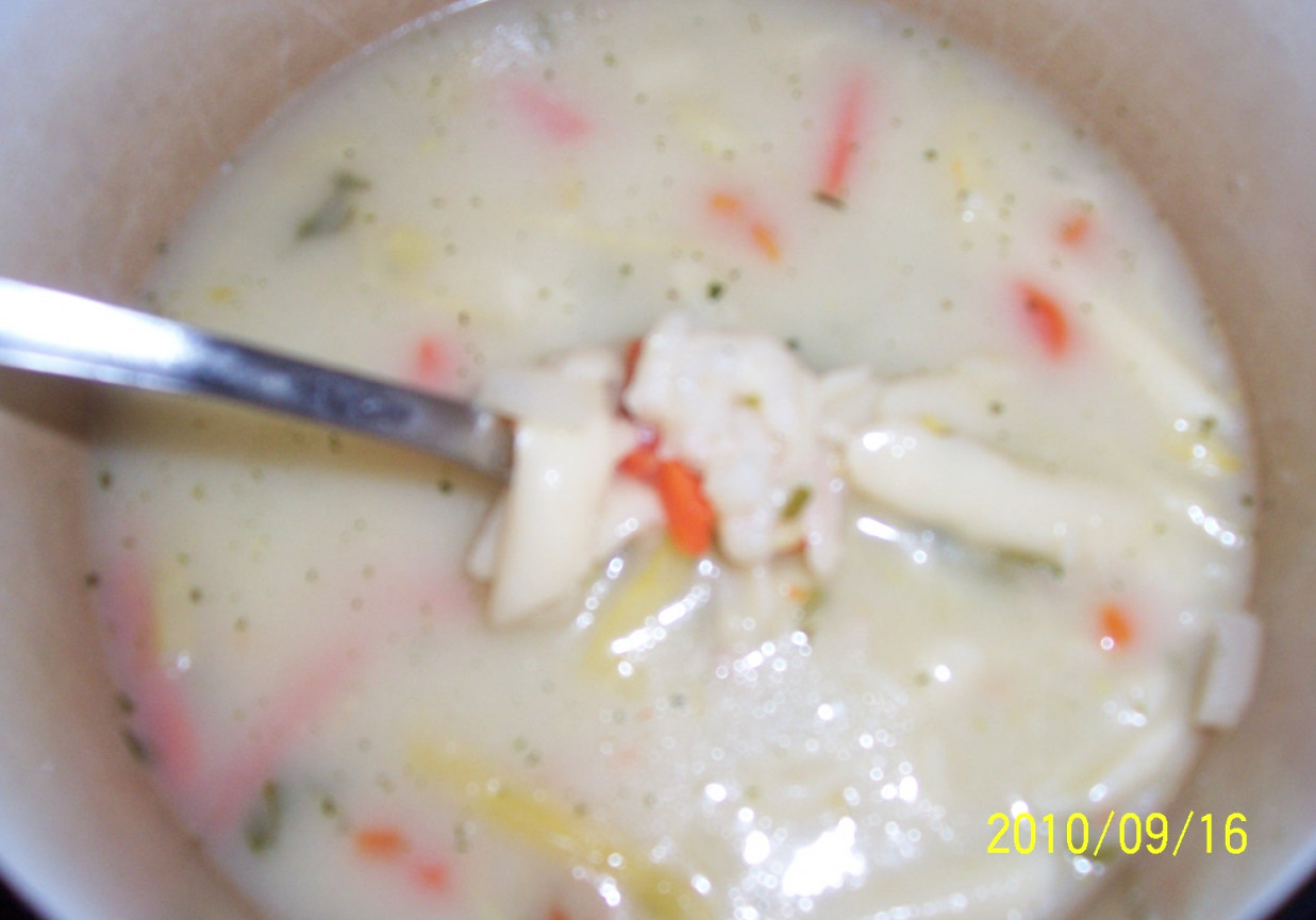 zupa z fasolką z makaronem foto
