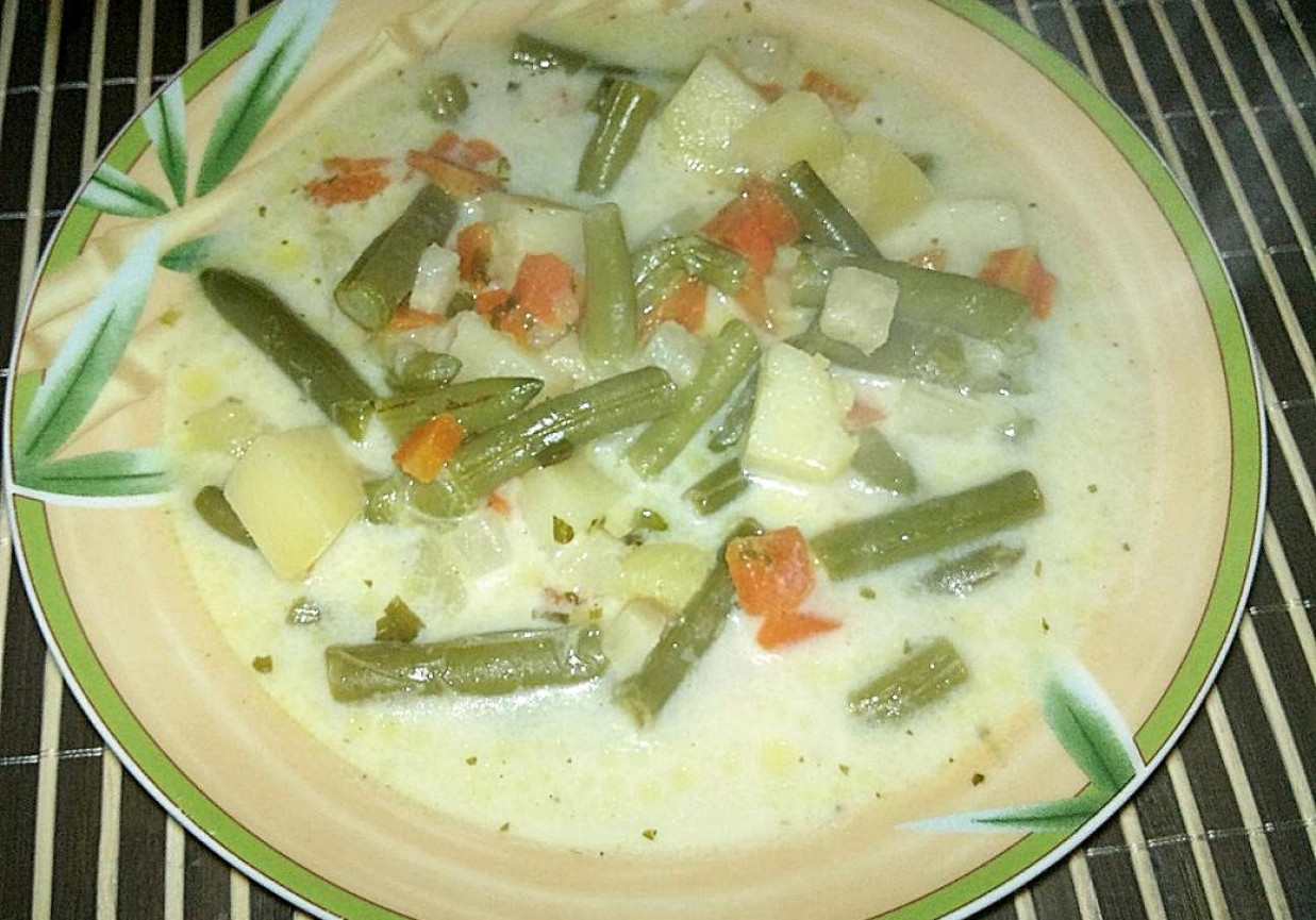 Zupa z fasolki szparagowej foto