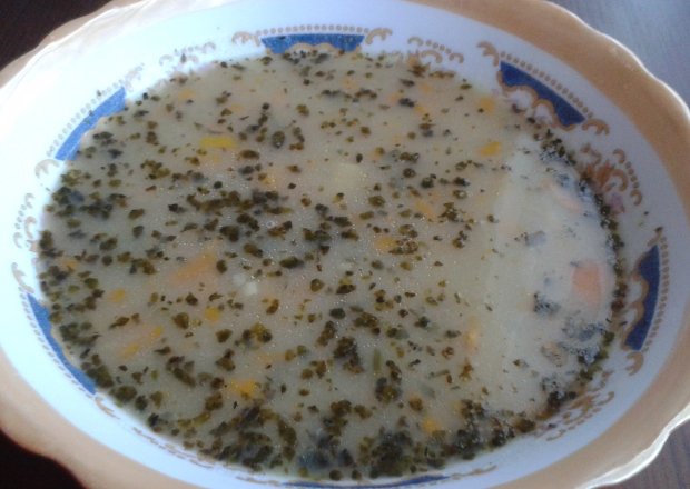 Fotografia przedstawiająca Zupa z fasolki szparagowej