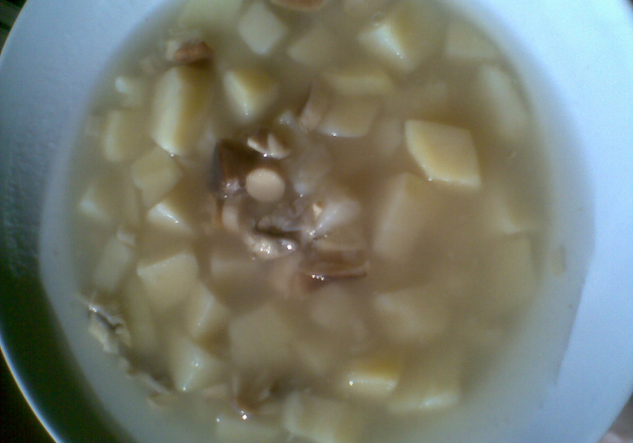 Zupa z grzybami lesnymi foto