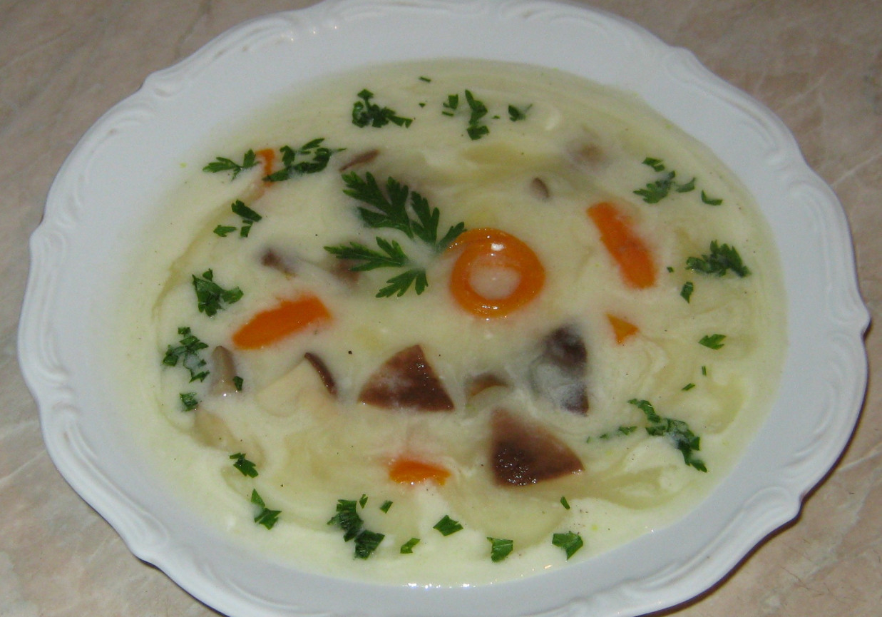 Zupa z grzybami foto
