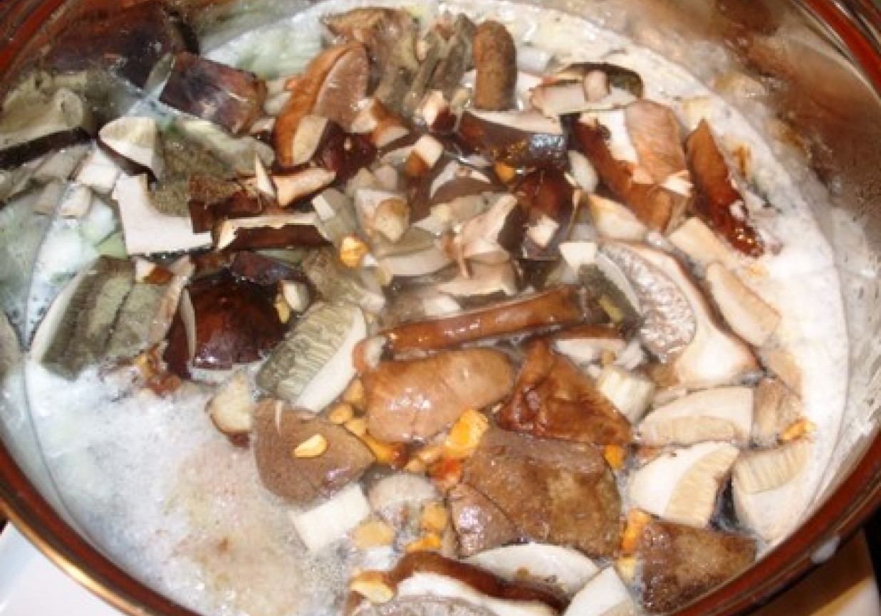 Zupa z grzybów leśnych foto