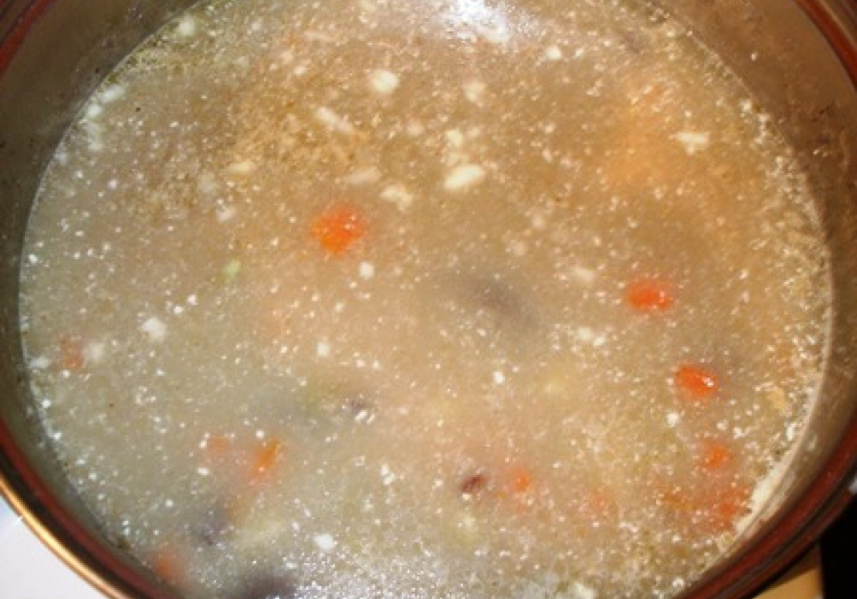 Zupa z grzybów leśnych foto