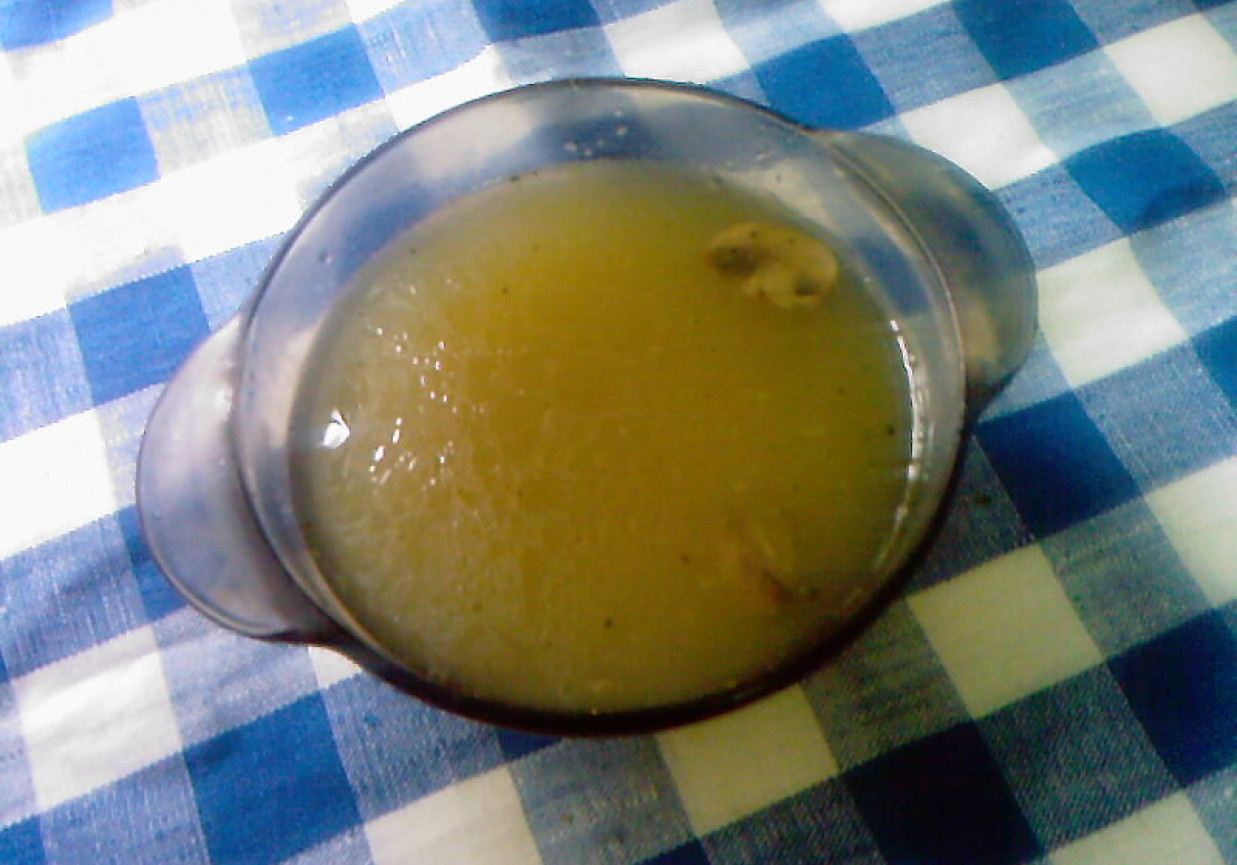 Zupa z grzybów mieszanych foto