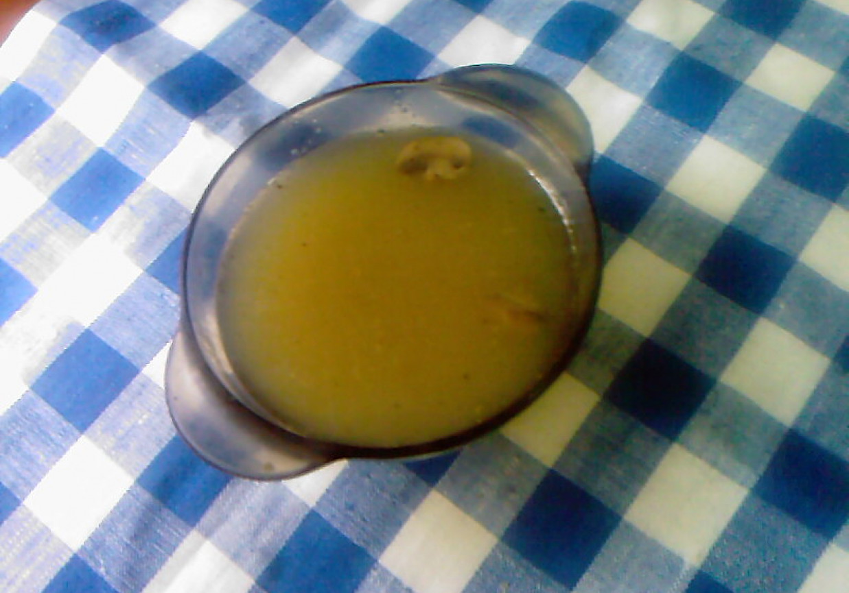 Zupa z grzybów mieszanych foto