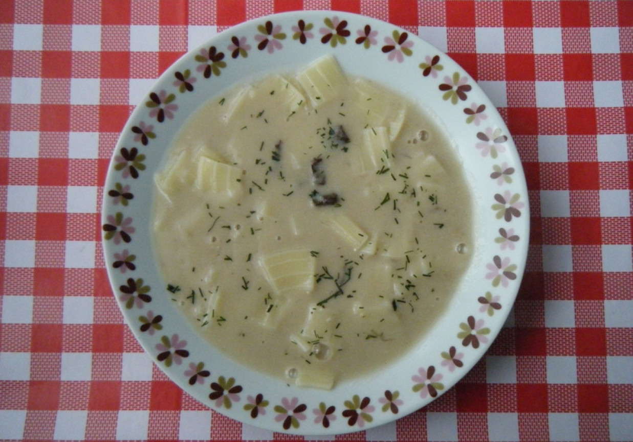 Zupa z grzybów suszonych z łazankami foto