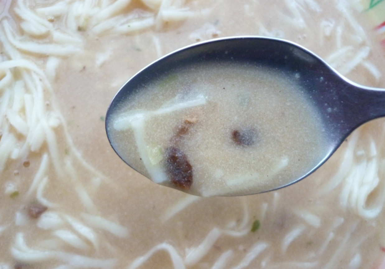 Zupa z grzybów suszonych foto