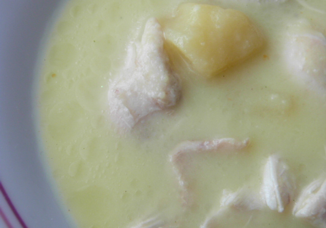 Zupa z indyka foto