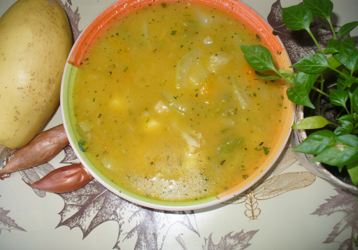 Zupa z kalafiora ,dyni i cukinii foto