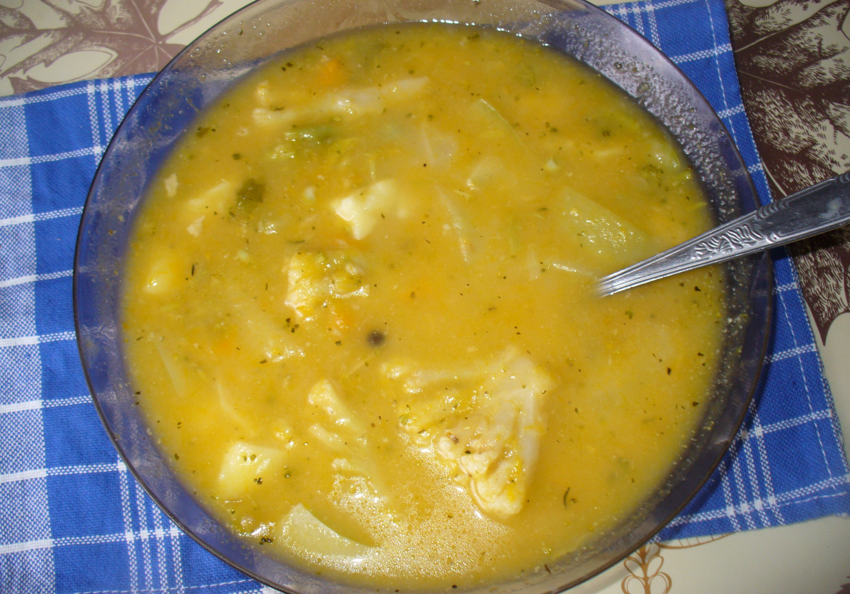 Zupa z kalafiora ,dyni i cukinii foto