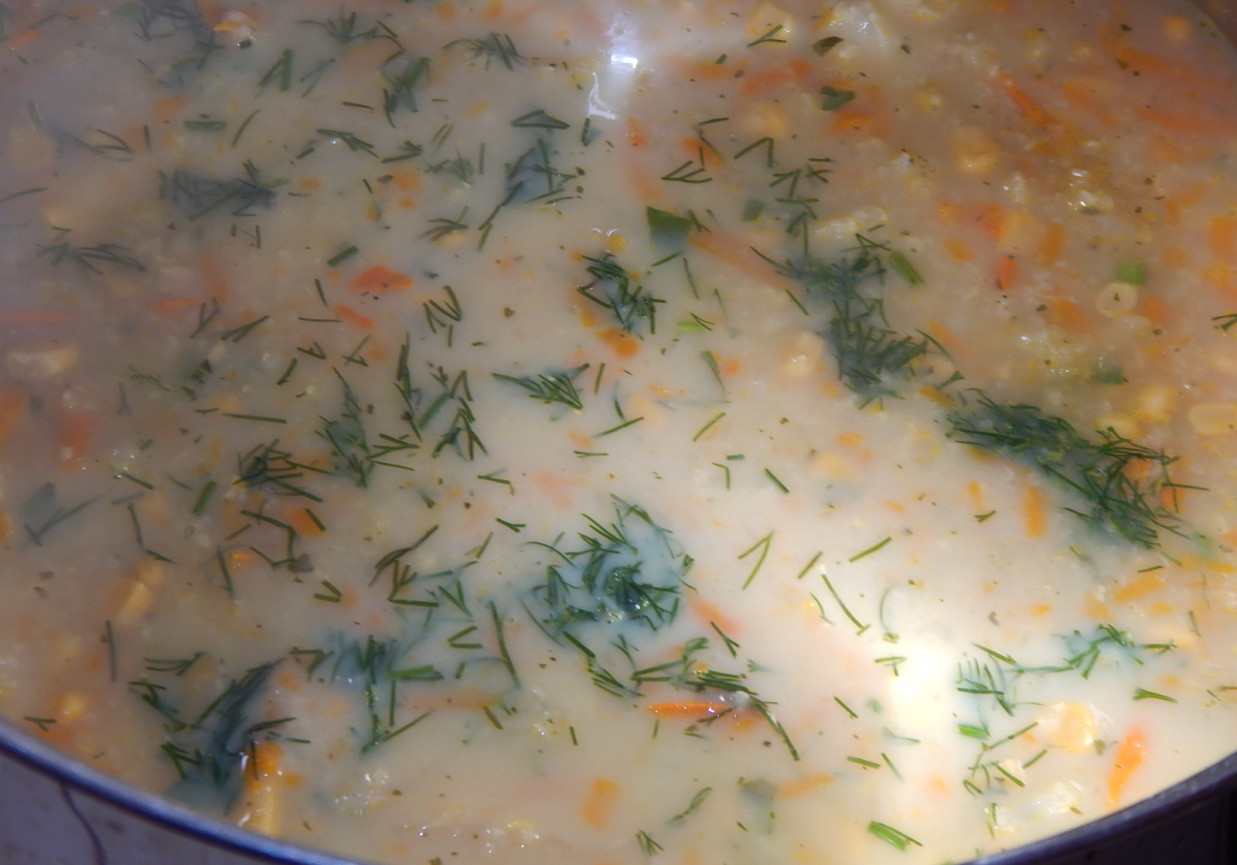 Zupa z kalafiora, kukurydzy i dyni z pęczakiem foto
