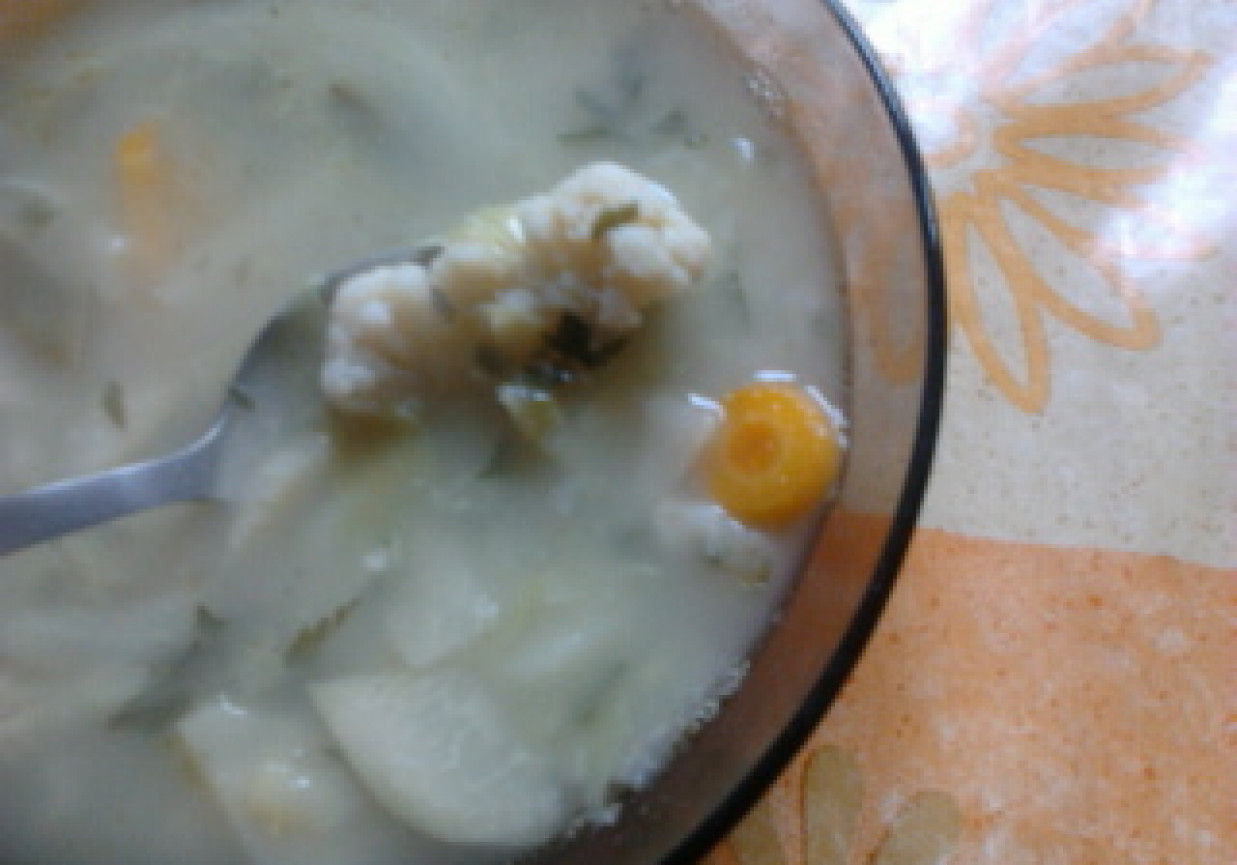 zupa z kalafiora foto