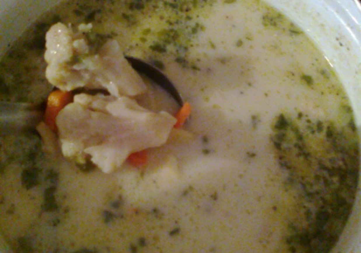 Zupa z kalafiorem i fasolką foto