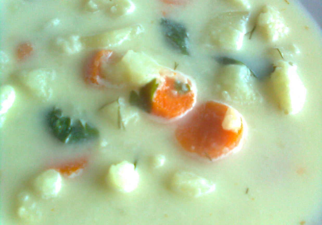 Zupa z kalafiorem II foto