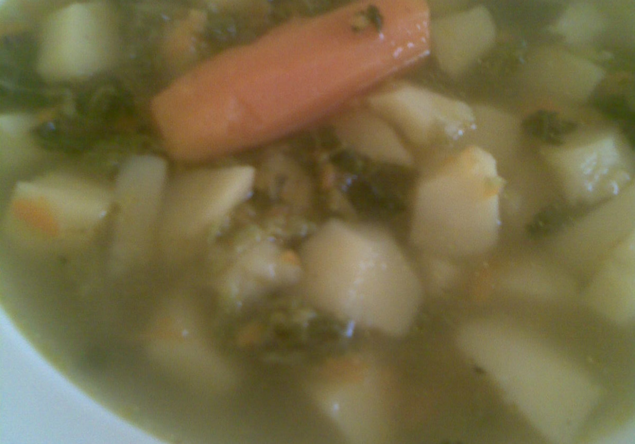 Zupa z kapusty włoskiej foto