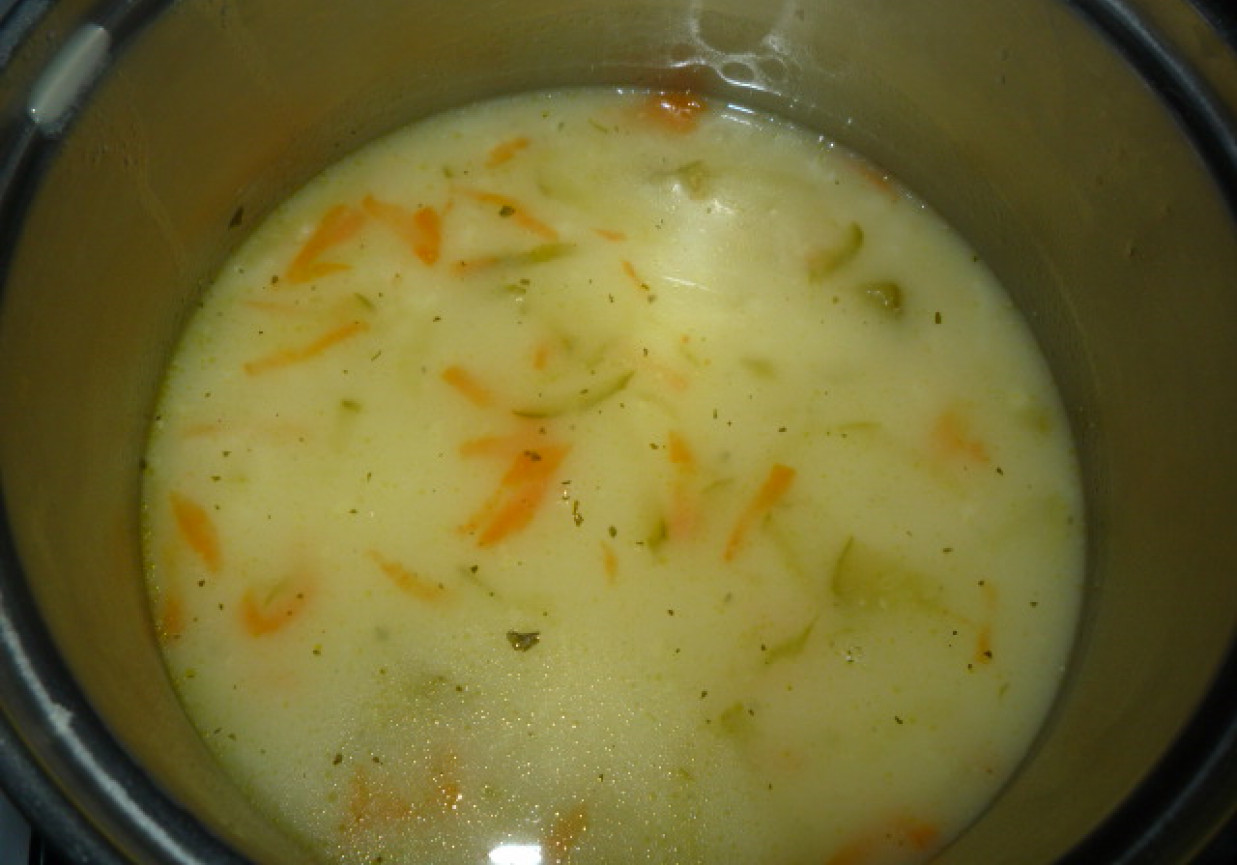 zupa z kiszonych ogórków foto