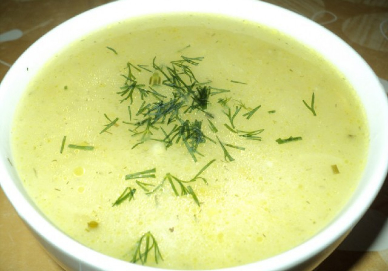 Zupa z kiszonych ogórków foto
