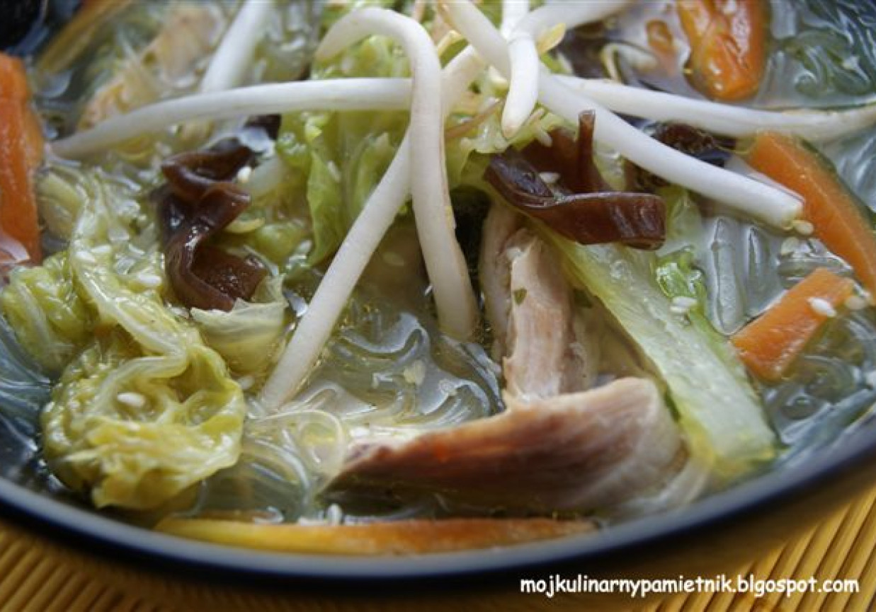 Zupa z kurczaka z makaronem chińskim na klasycznym chińskim wywarze foto
