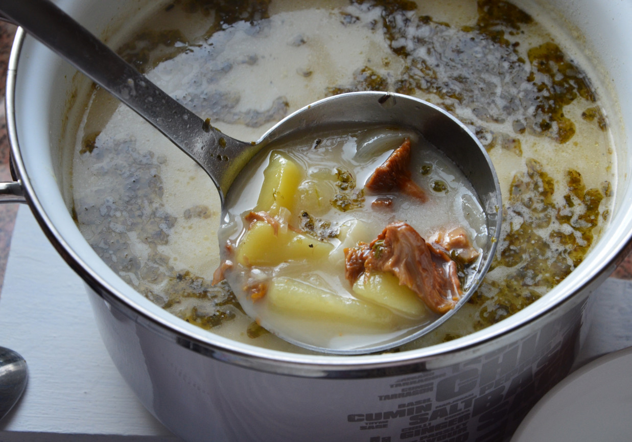 zupa z kurek z ziemniakami foto