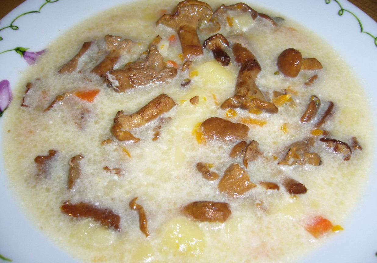 Zupa z kurek foto