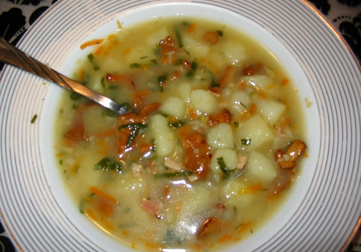 Zupa z kurek foto