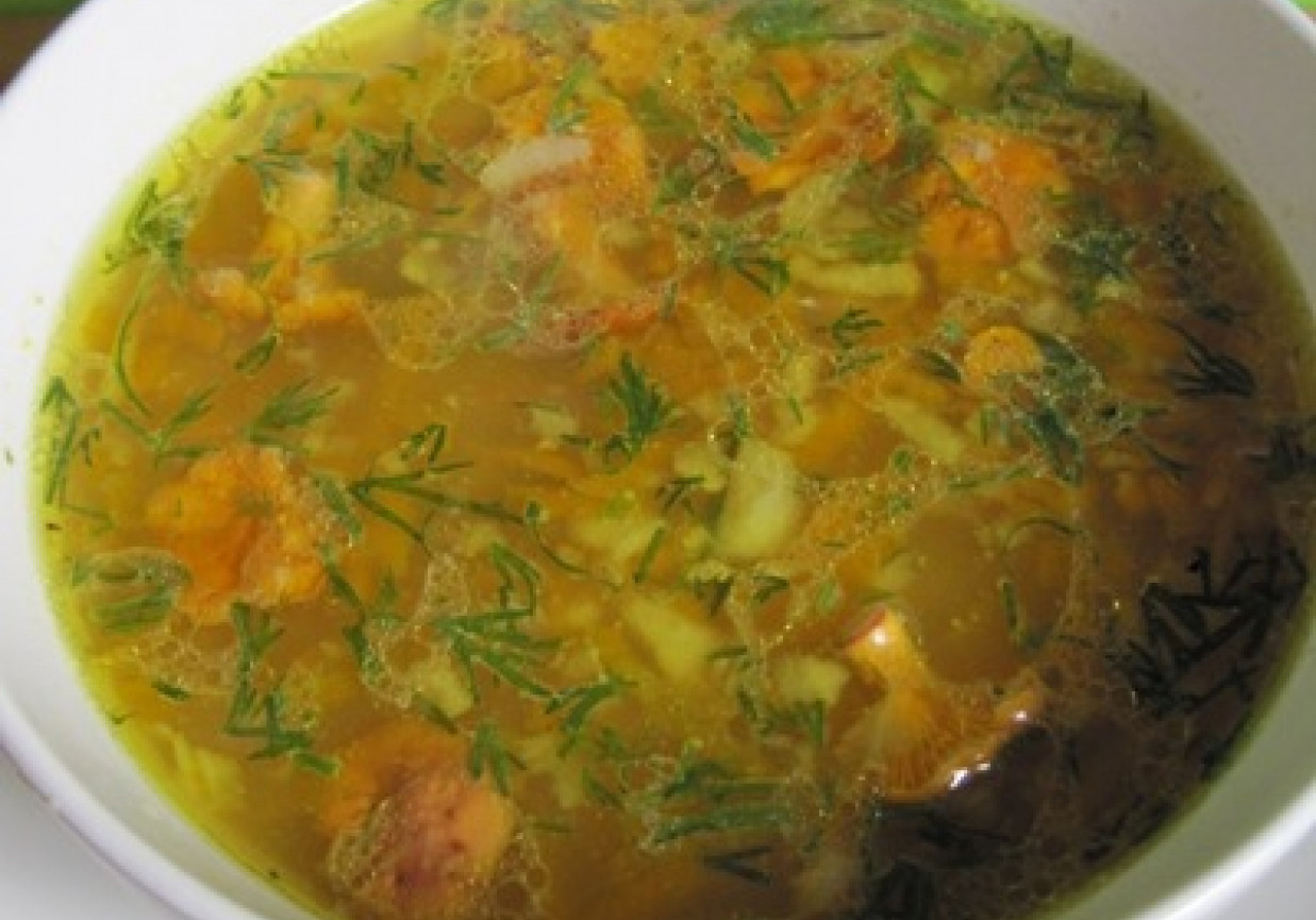 zupa z kurkami i koperkiem foto
