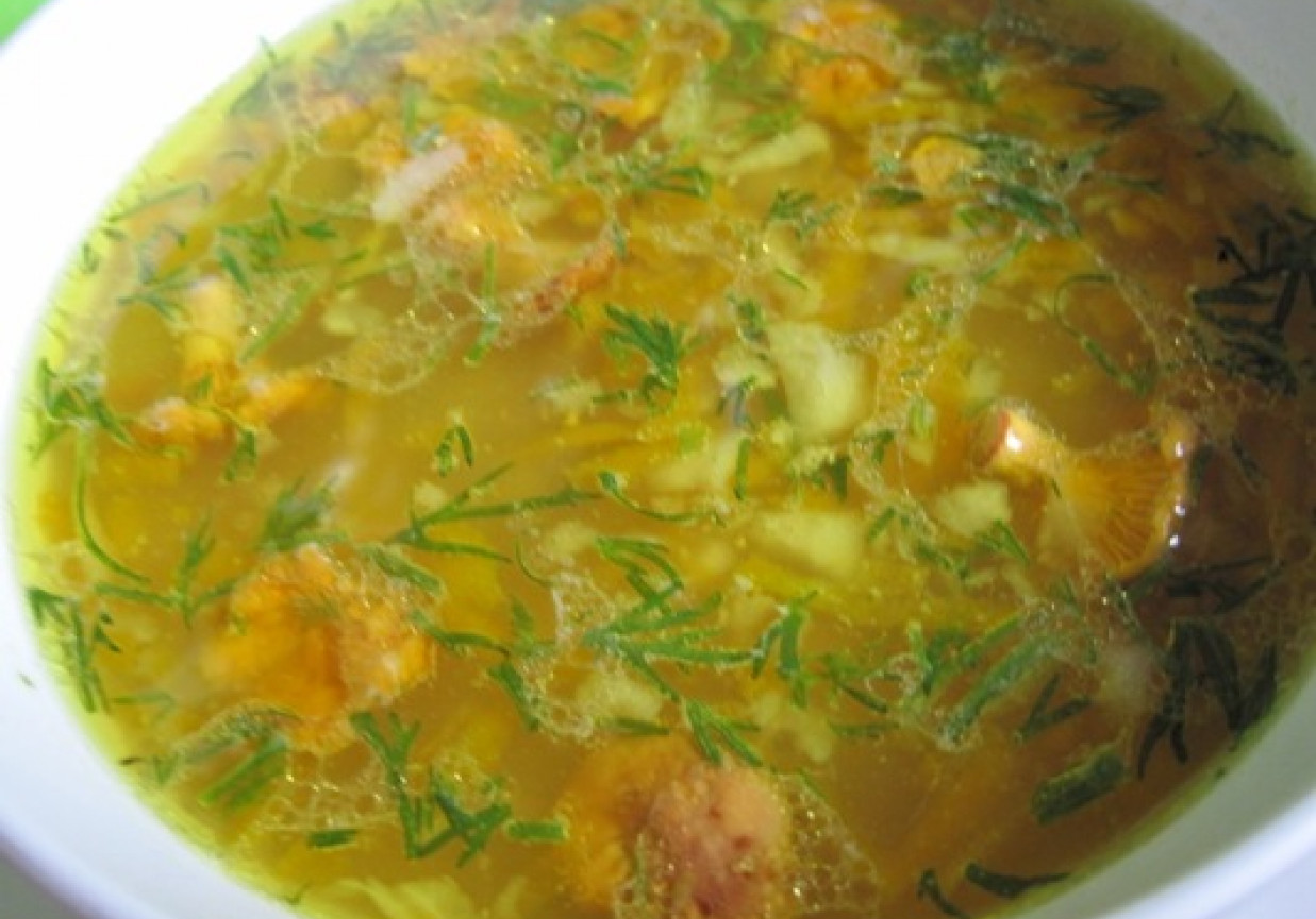 zupa z kurkami i koperkiem foto