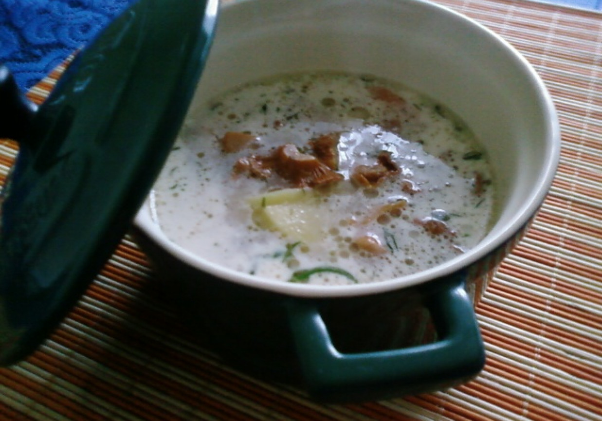 Zupa z kurkami. foto