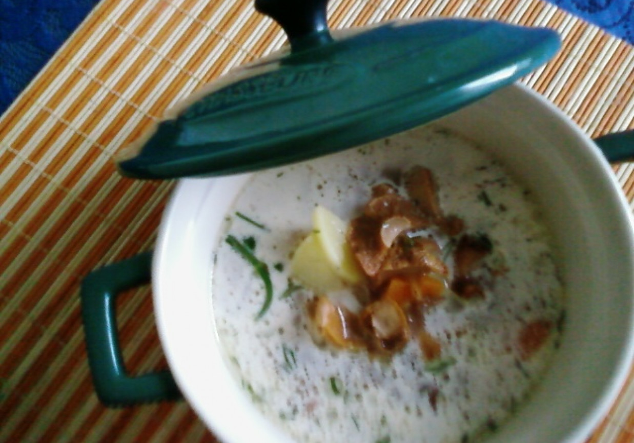 Zupa z kurkami. foto