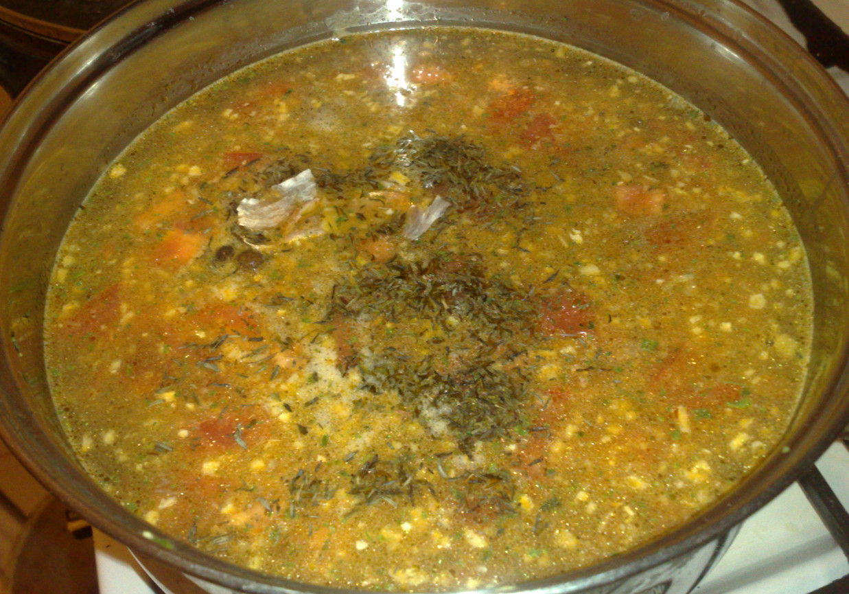 zupa z leśnych grzybów foto