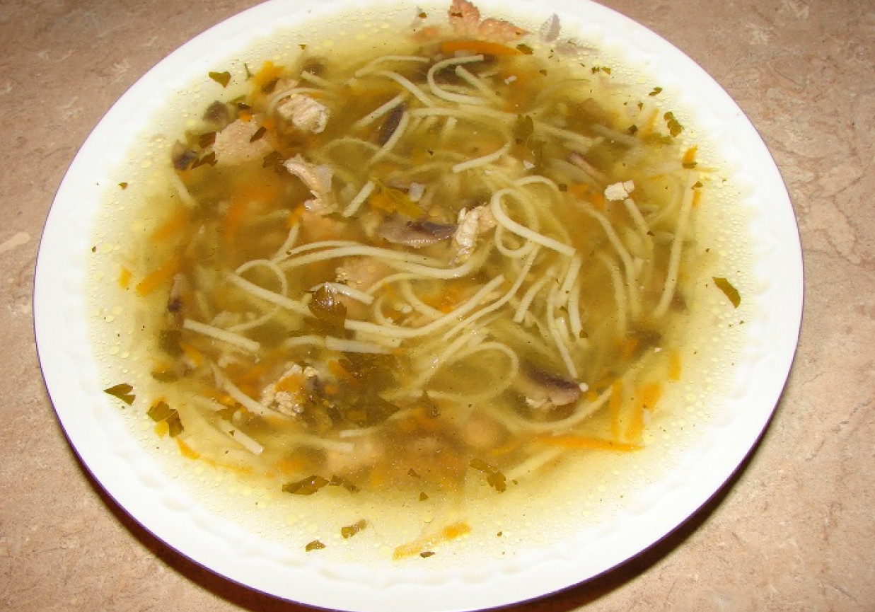 Zupa z makaronem foto