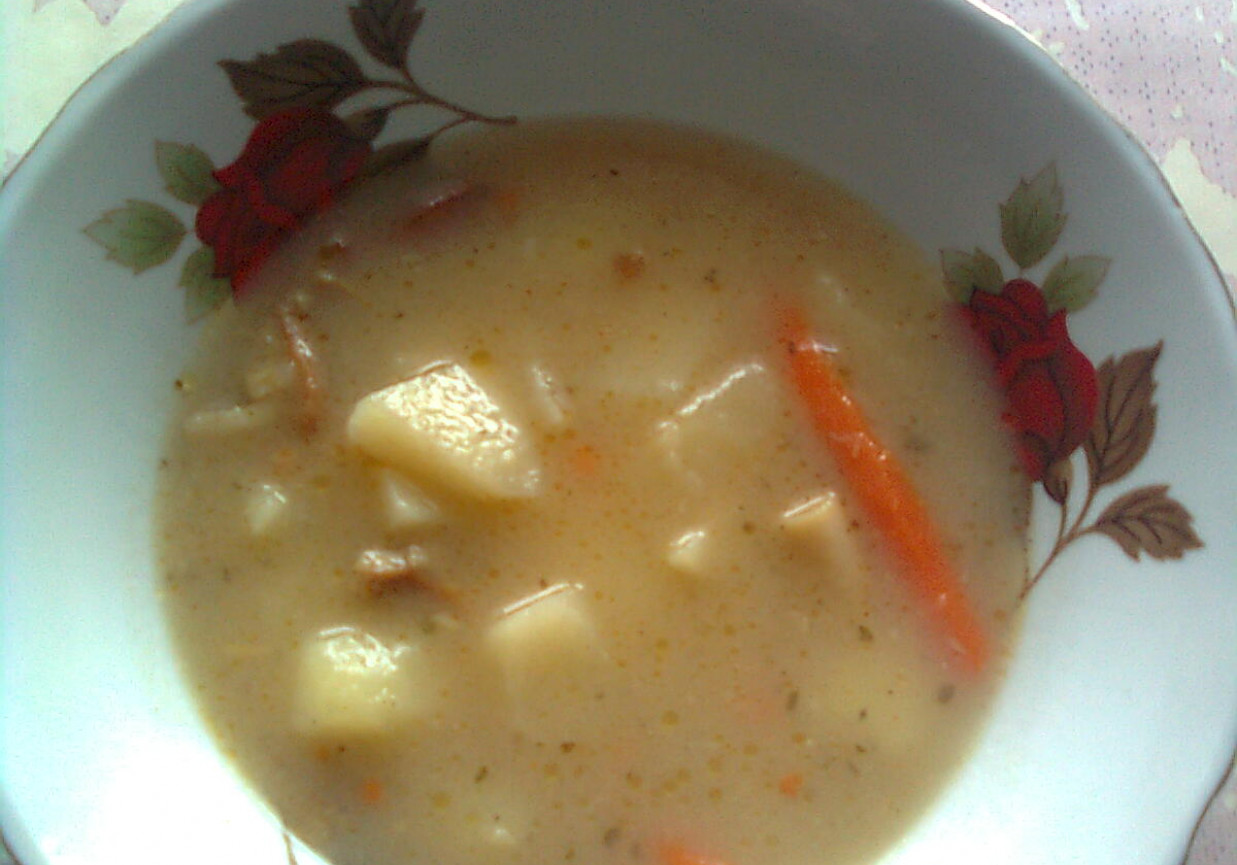 Zupa z marynowanych grzybów foto