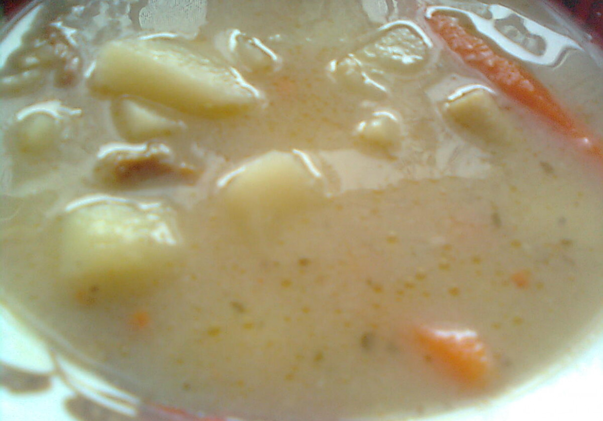 Zupa z marynowanych grzybów foto