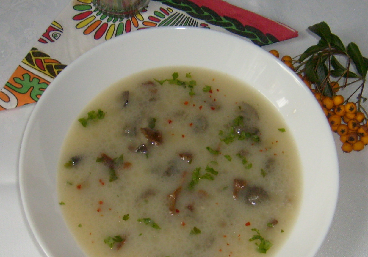 ZUPA Z MAŚLAKÓW I KUREK foto