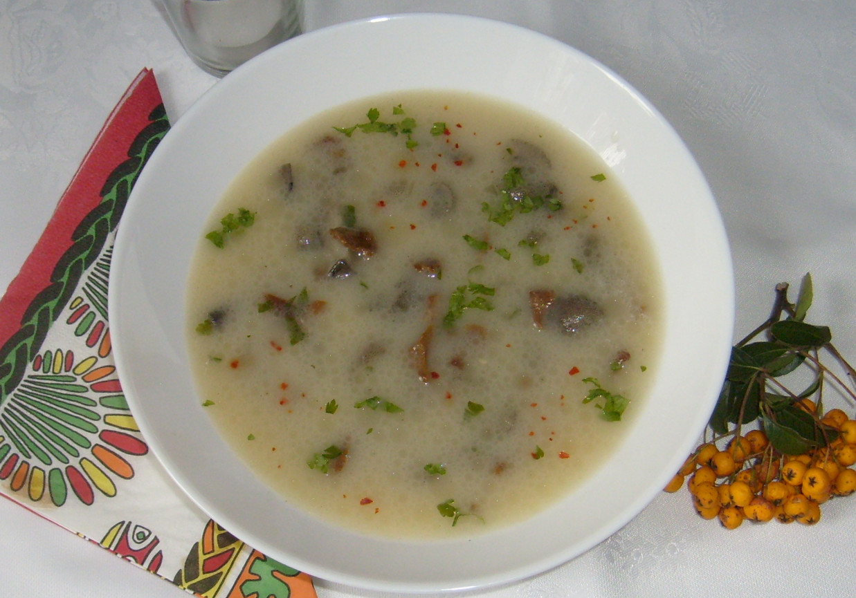 ZUPA Z MAŚLAKÓW I KUREK foto