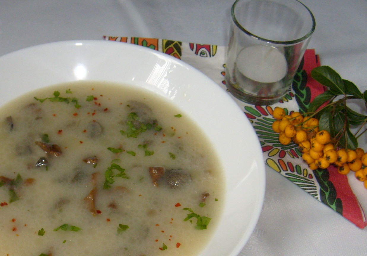 ZUPA Z MAŚLAKÓW I KUREK foto