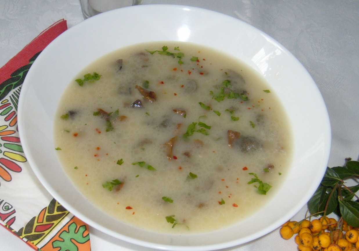 ZUPA Z MAŚLAKÓW I KUREK foto