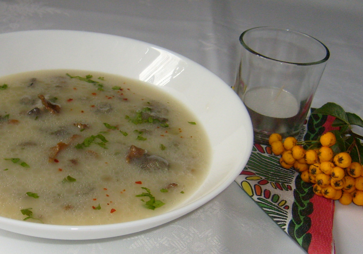 ZUPA Z MAŚLAKÓW I KUREK foto