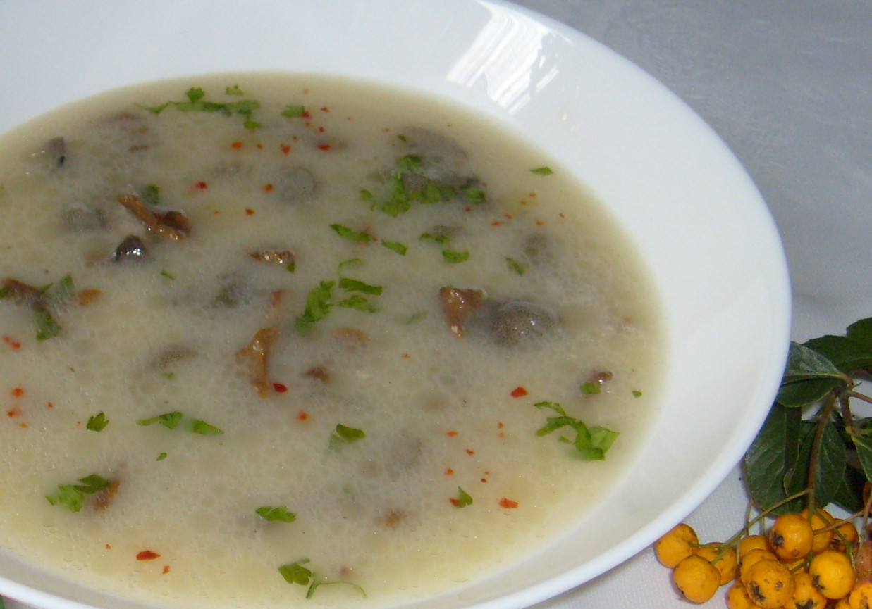 ZUPA Z MAŚLAKÓW I KUREK foto