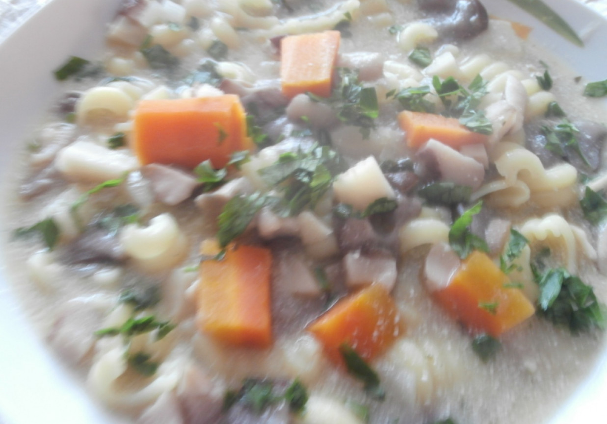 zupa z maślaków foto