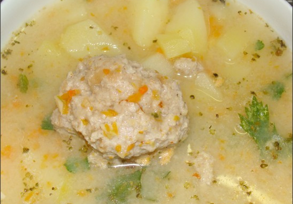Zupa z mięsem mielonym foto