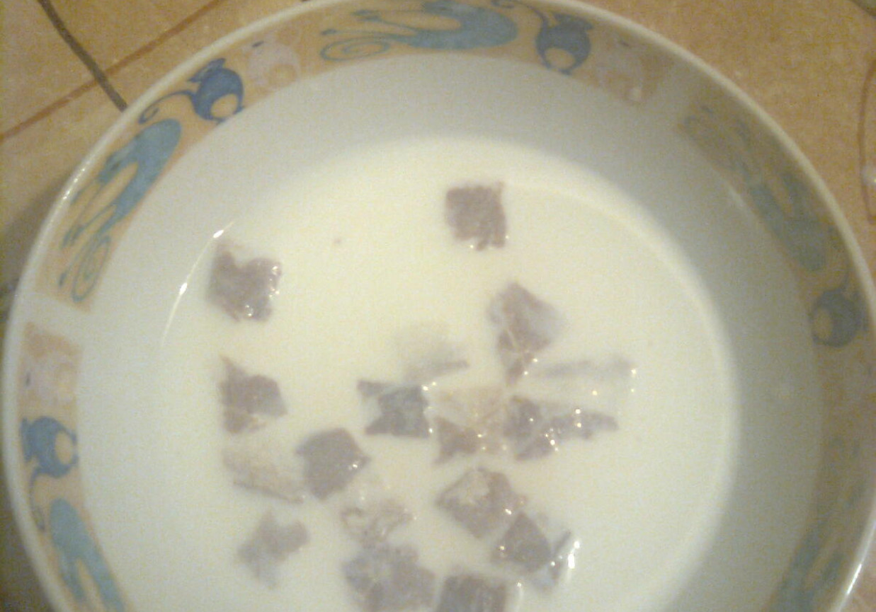 zupa z mleka i chleba foto