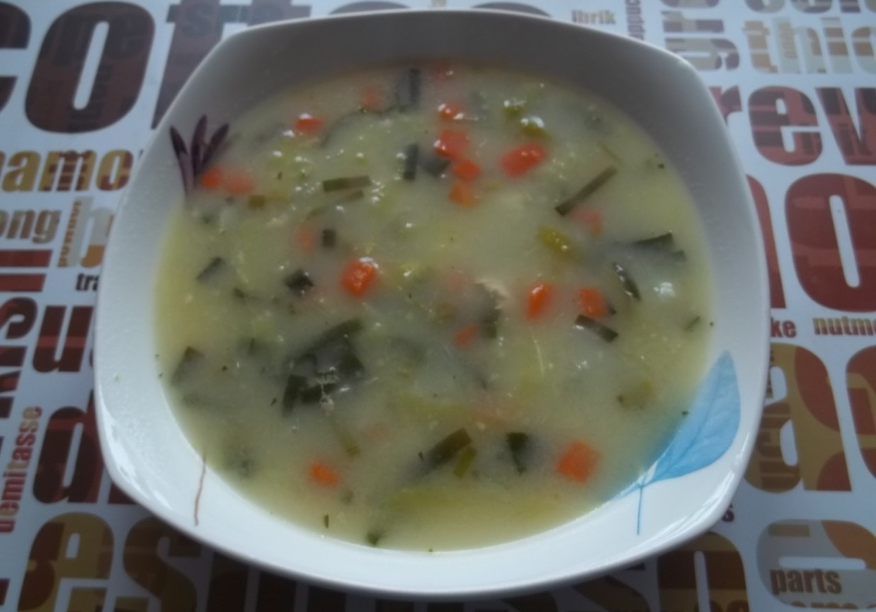 Zupa z młodą kapustą, marchewką i groszkiem foto