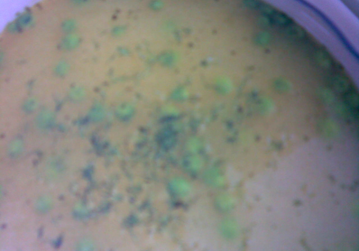 Zupa z młodego zielonego groszku foto
