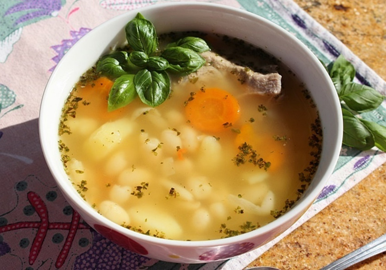 Zupa z młodej fasoli (fasolowa) foto