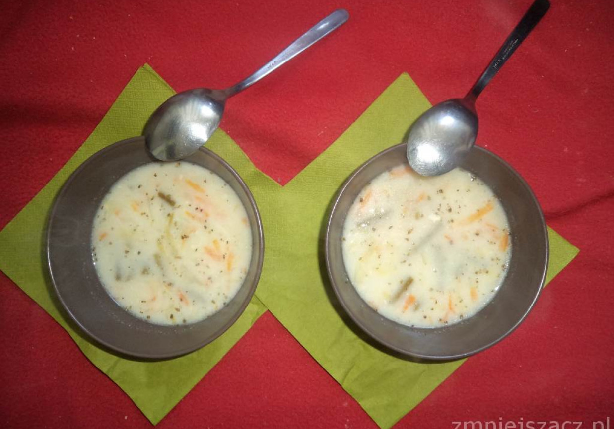 Zupa z młodej kapusty i fasolki zielonej foto