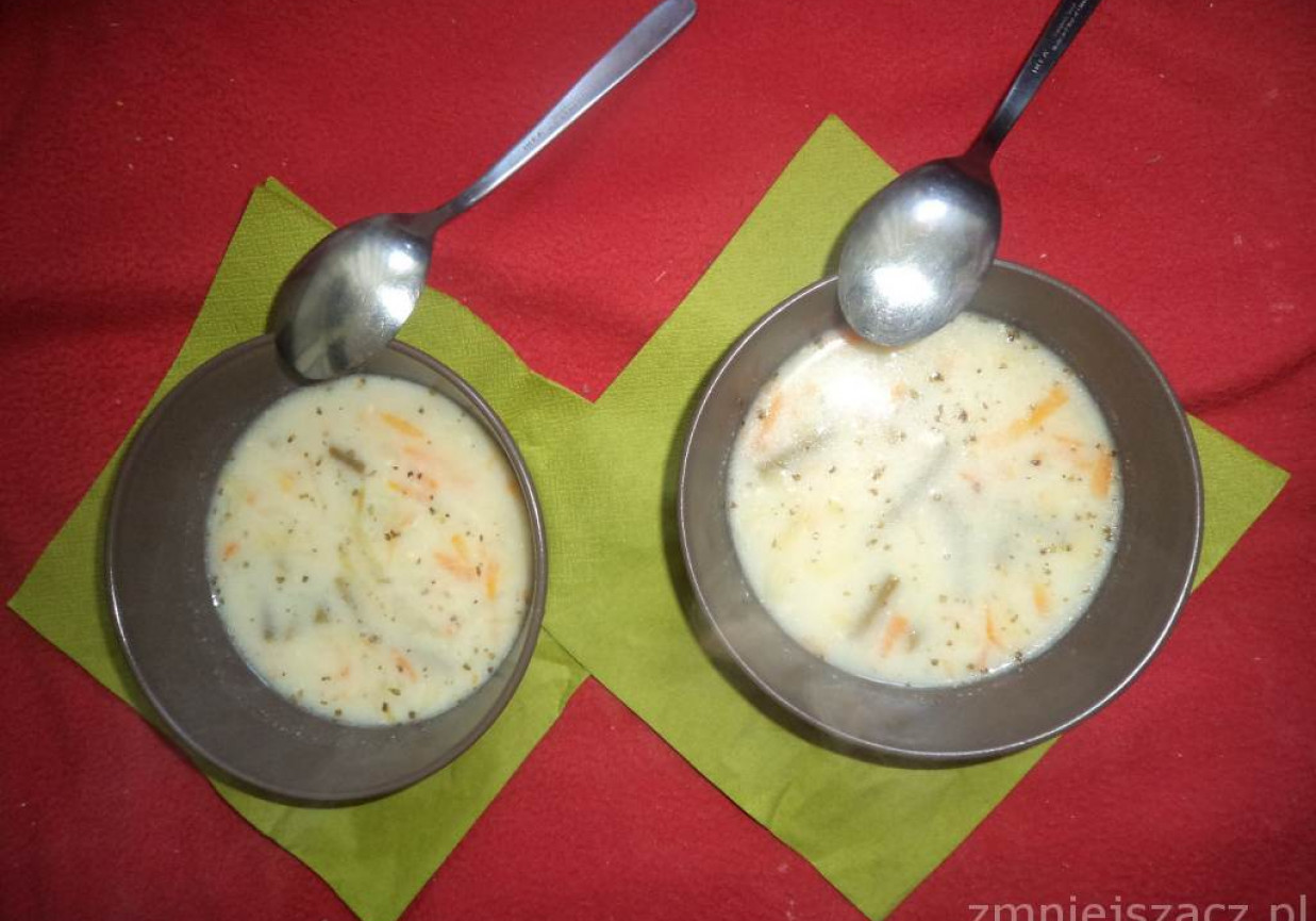 Zupa z młodej kapusty i fasolki zielonej foto